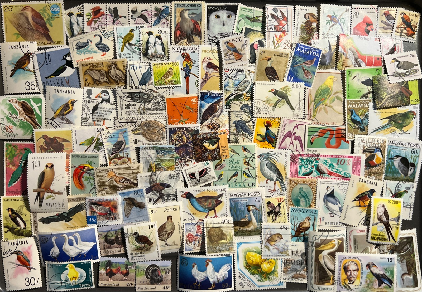 25 BIRDS on STAMPS from Around the World - Hand-Curated - FREE SHIPPING!
