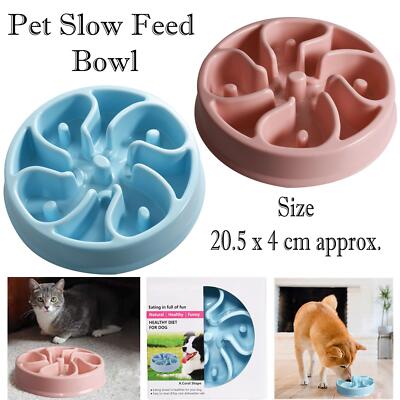 algae free outdoor water dog bowl Petmate 5 Gallon Big Blue Outdoor Water Bowl main image 1