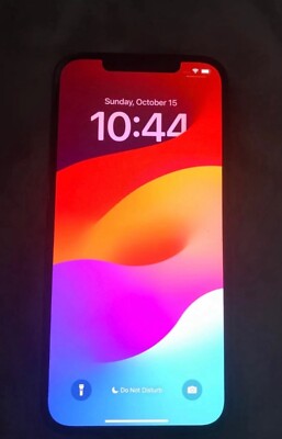 Apple iPhone 12 Pro Max - 128 GB - Graphite (AT&T) (Single SIM)