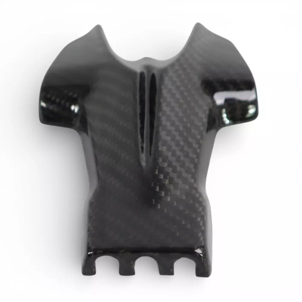 Cache support de plaque carbone Triumph Speed Triple 1200 pour sorties et circuits - 2