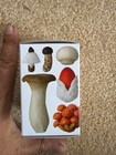 Nature Techni Colour MONO Mushroom Soft Strap Figure blind box new/unopened — photo 4