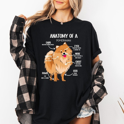 2025/Pomeranian Shirt, Pom Christmas Tshirt, Pommy Shirt, Gift for Pomeranian Ow