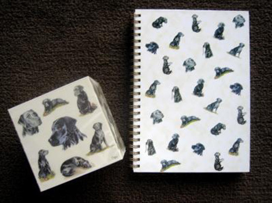 Note Cube and Spiral Note Book Black Labradors Imported from England