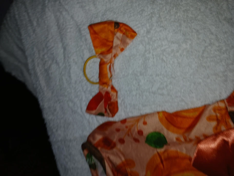 Vestido para perro Melocotón talla XS con lazo de pelo a juego Foto 2 de 4