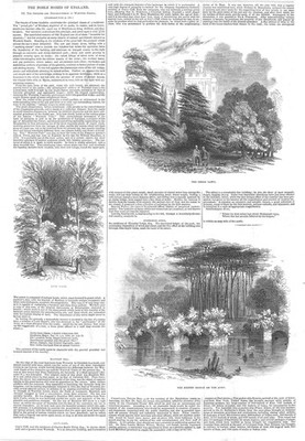 WARWICK CASTLE Ansichten im Gelände - antiker Druck 1846