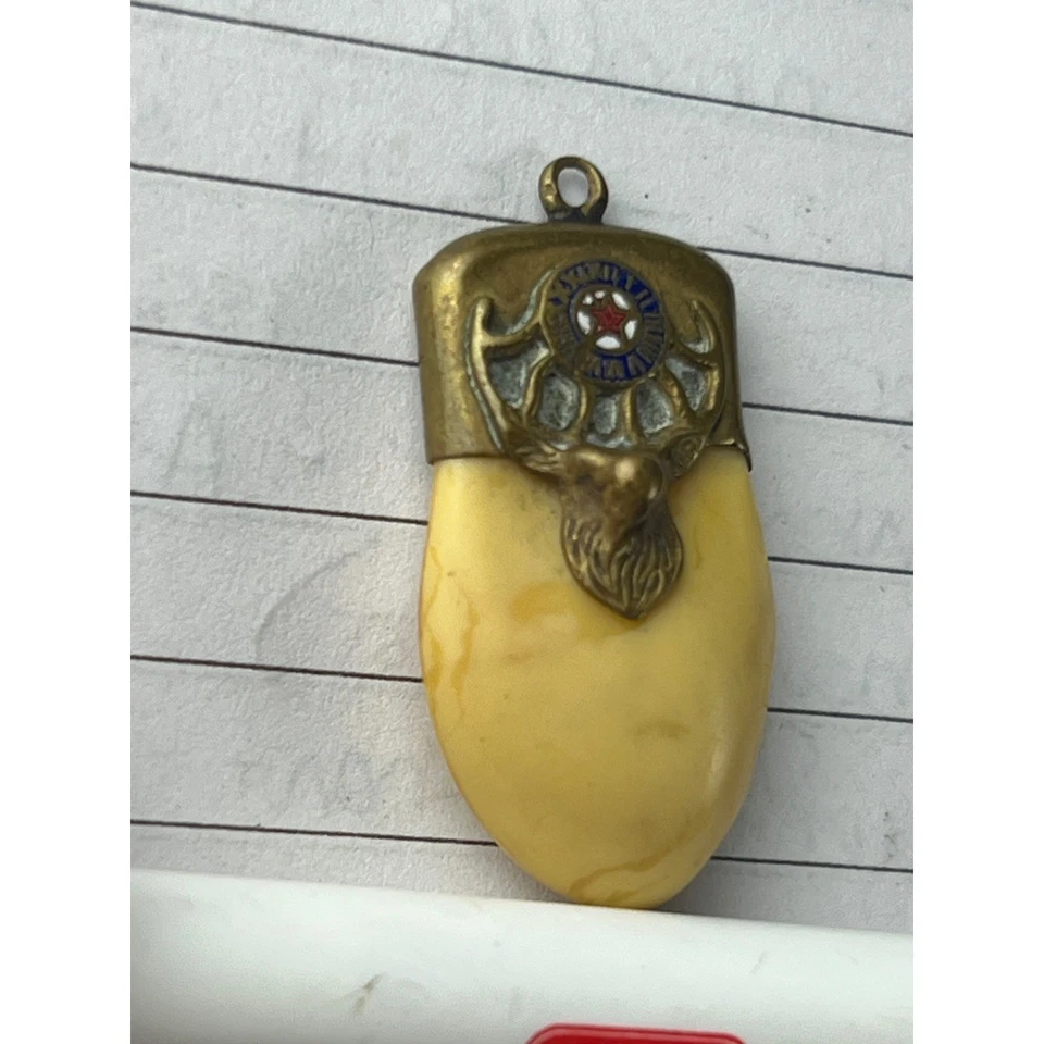 Antique 14k Gold Elks Club Lodge  B.P.O.E. Tooth Fob Pendant Elk Emblem Red Star - Image 4 of 4