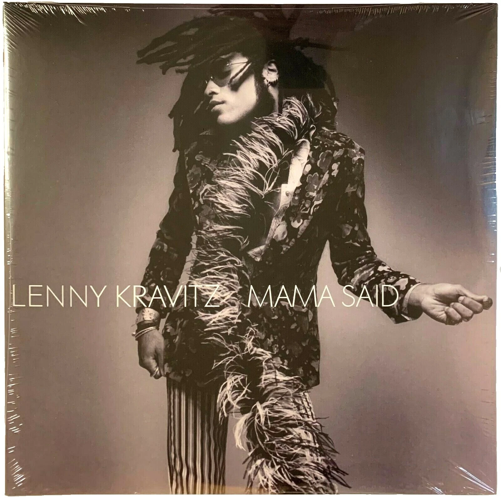 Discos de vinilo de rock Lenny Kravitz