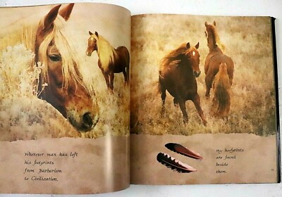 Horses of the Sun by Robert Vavra 1995 Hardcover DJ Gallery