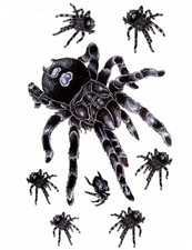 Flash Temporary Adhesive Tattoo 8 Spiders Black Party Gift Gothic