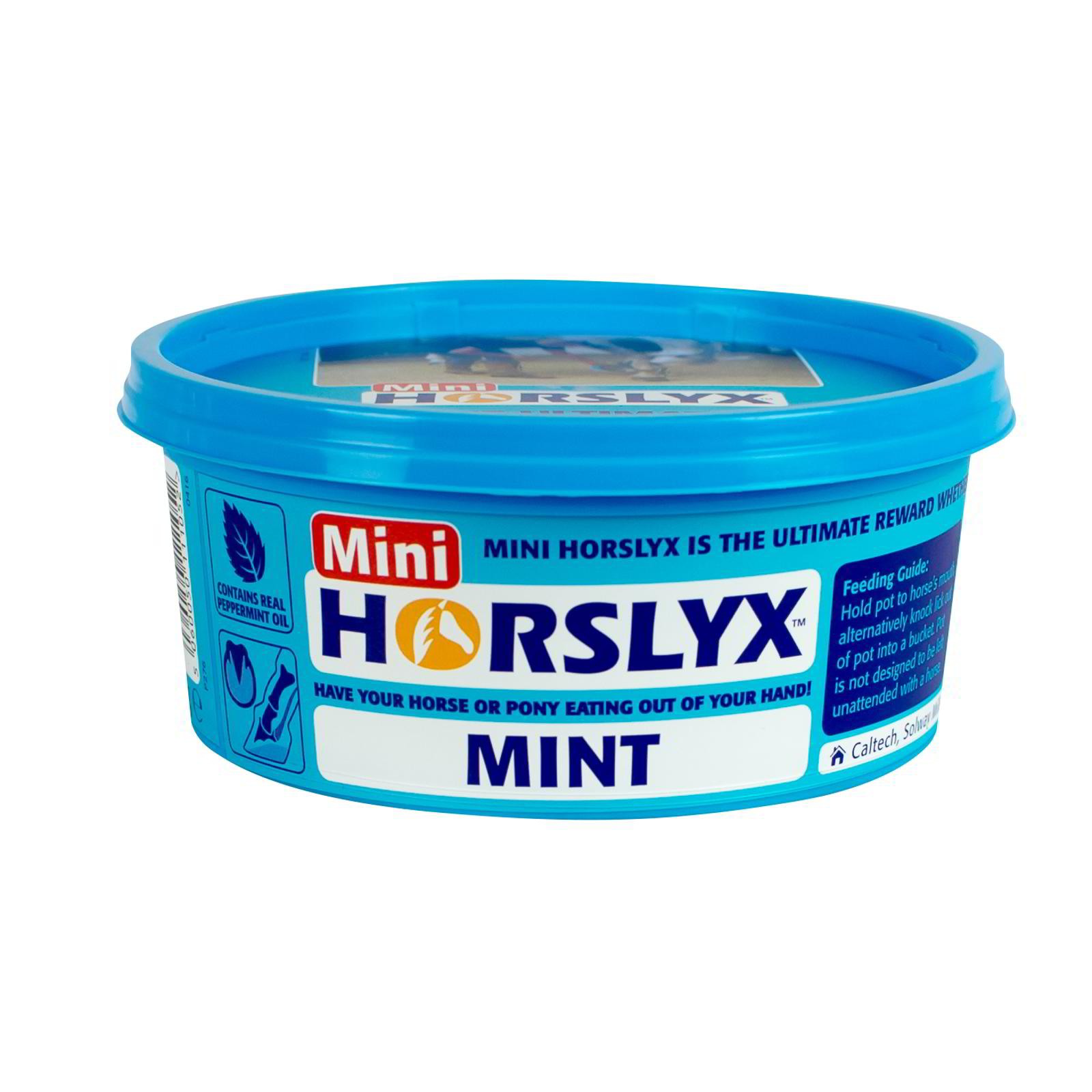 Horslyx Mint Mini Lick - Image 4