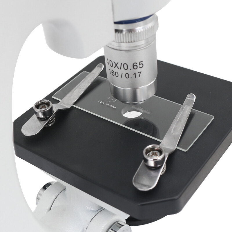 Microscopes Cell Size Ruler Slide Micrometer Microscope Eyepiece Micrometer Reticle | 0.1 Mm ...