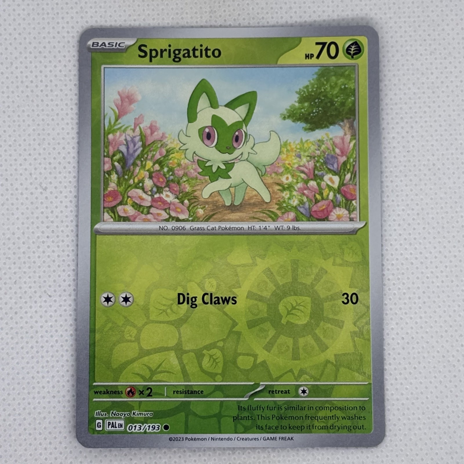 Pokemon TCG | Sprigatito 13/193 | Reverse Holo Common Paldea Evolved!