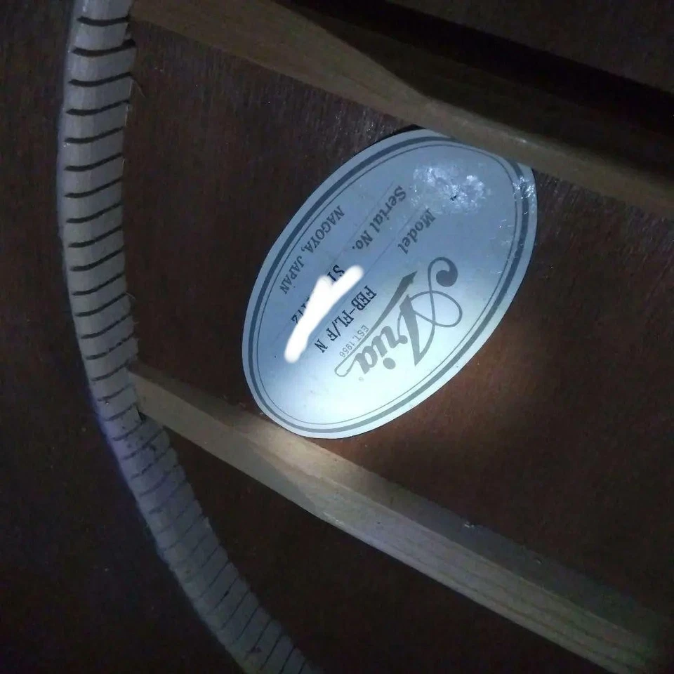 Bajo Eléctrico Acústico Aria FEB-FL/F N Natural Hecho en Japón Foto 3 de 4