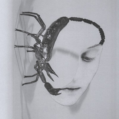 Tortoise Touch (CD) Album