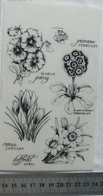 A YEAR IN FLOWER 1 & WORDS Months- 8 Clear Photopolymer STAMPS Flourishes SBox2H