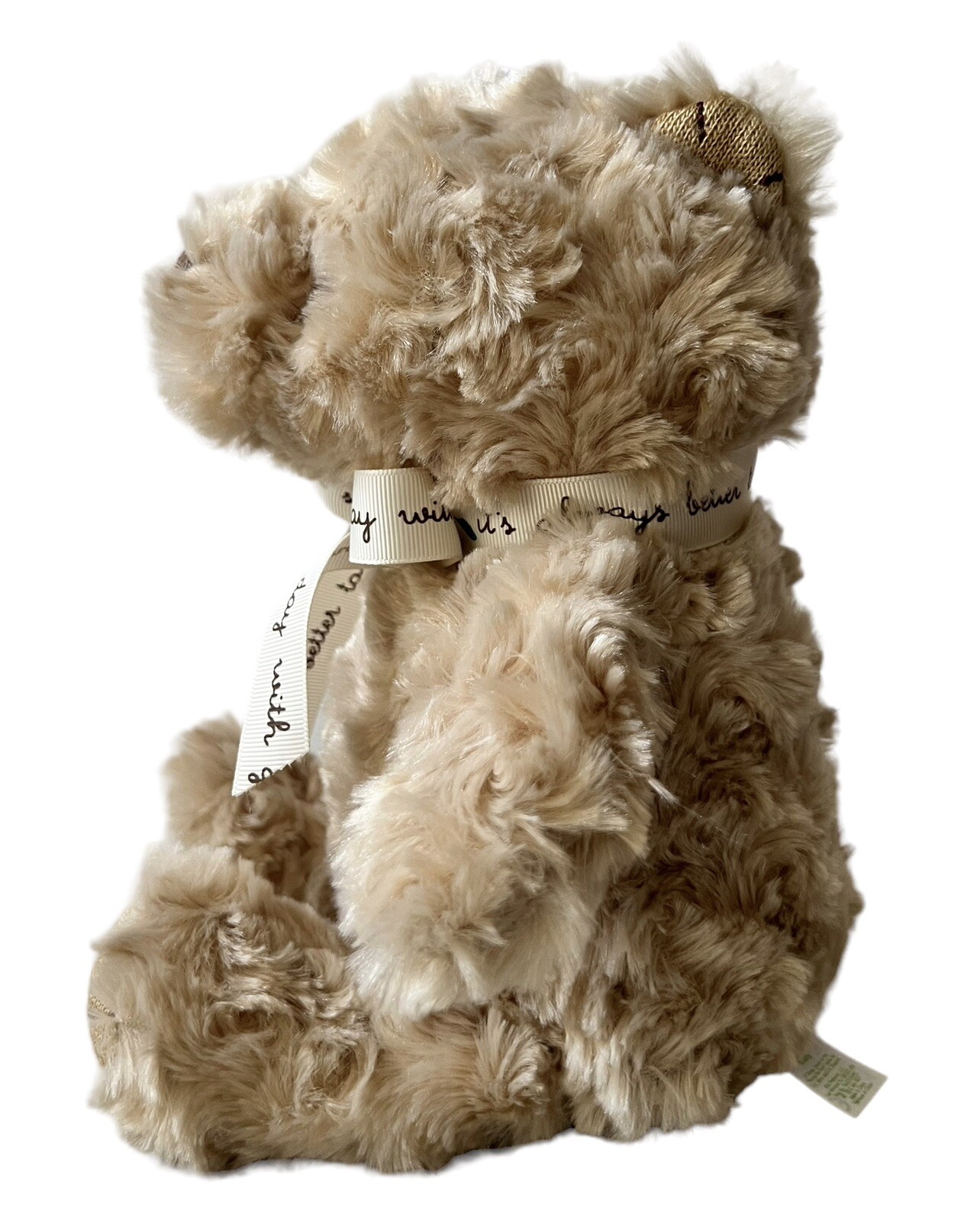 Disney Baby Classic Winnie The Pooh Plush Swirl 12” Lovey Bow Kids Preferred