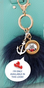 Details About Authentic Origami Owl Hostess Exclusive Locket Set Seas The Day
