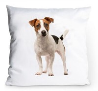 Kissenbezug 40X40Cm - Jack Russell Terrier - Portrait Dog Hund Deko Kissen