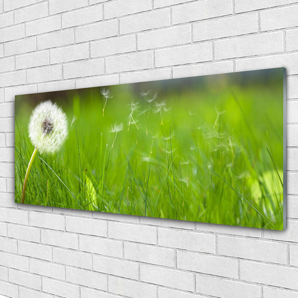 Tableau plexiglas pissenlit 125x50 cm pour illuminer un mur sombre