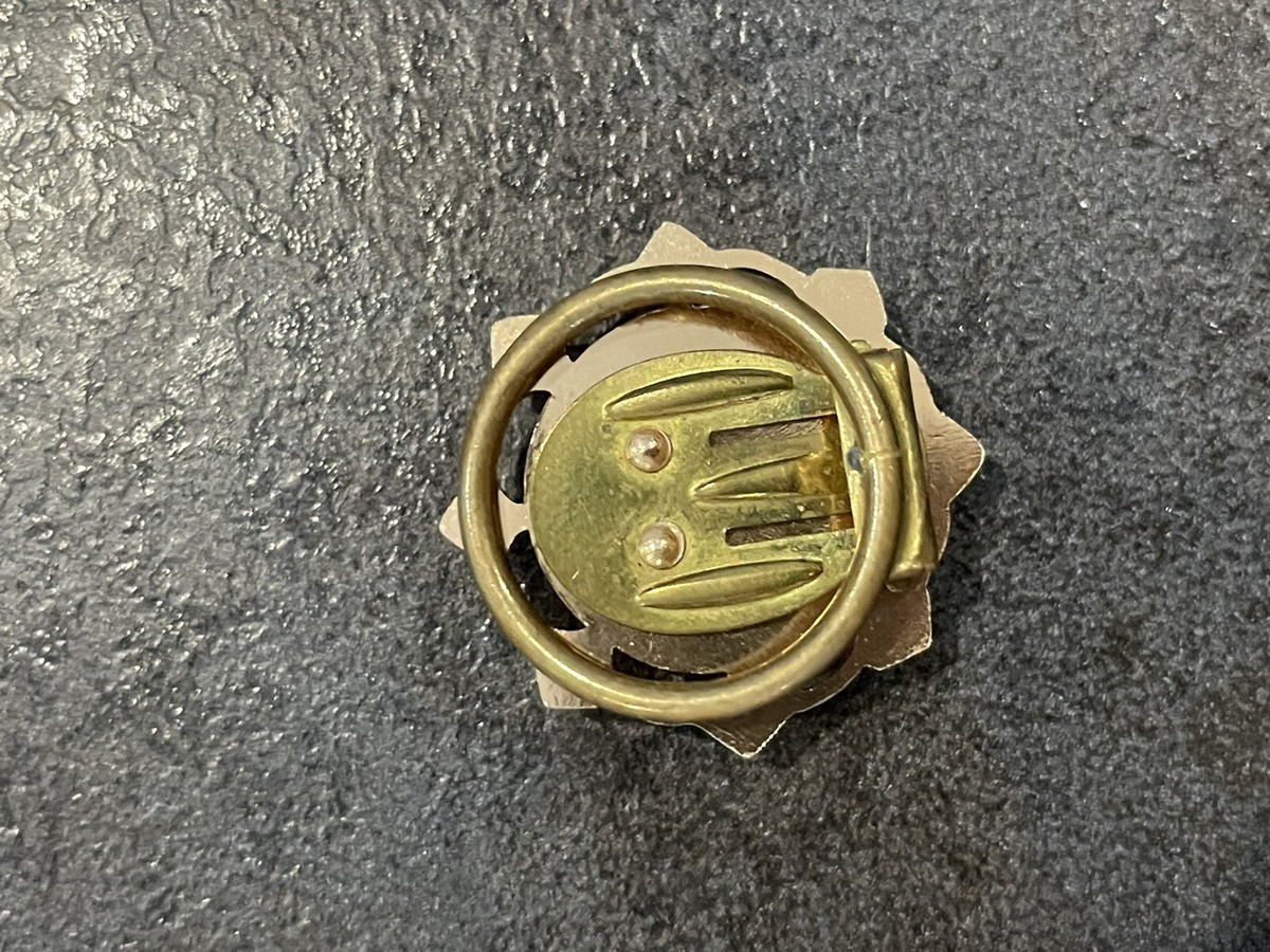 Broche Ancienne Bestiaire En Relief Nacré Et Métal Doré - Occasion Bon état