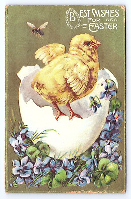 Postcard Best Wishes For Easter Embossed Chick Hatching Bee? Wasp? on Flowers