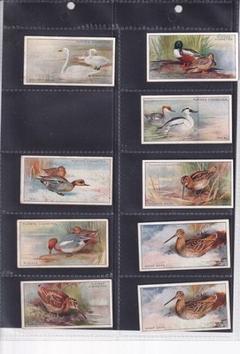 SPIELER - SPIEL VÖGEL & GEFLÜGEL - TYPKARTE VON 1927 - NR. 44 TOLLE SCHNEPFE