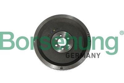 Schwungrad Kupplung für Skoda VW Seat Rapid Fabia III 2014-> Borsehung B19306