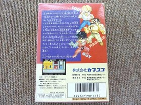 Famicom Software Model Mighty Final Fight (With Box And Manual) Capcom FM940