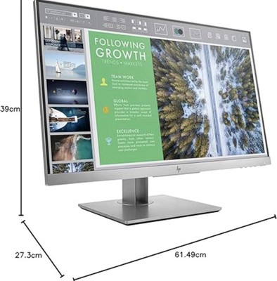 HP EliteDisplay E243 24 Zoll Monitor Full HD IPS LED 60Hz silber (HDMI, DP, VGA)