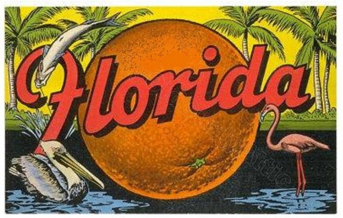 Vintage Style Florida Travel Poster - palms, oranges, flamingo 4.5 x 6 - 第 1/4 張圖片