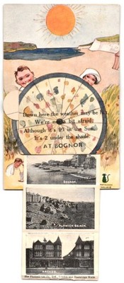 Leporello-AK Bognor, Marine Gardens, Golden Sands, Pier, Arundel Castle, Alnwic 