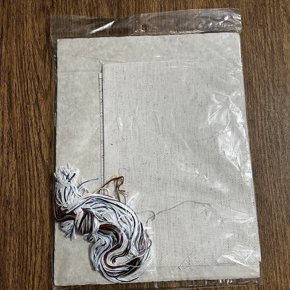 Kit punto de cruz Dale Burdett Country Goose Family Bless Our Home 1985 NUEVO Foto 2 de 4