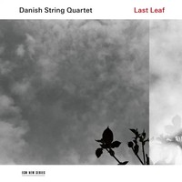Last Leaf | Danish String Quartet | Deutsch | Audio-Cd | Cd | 2017