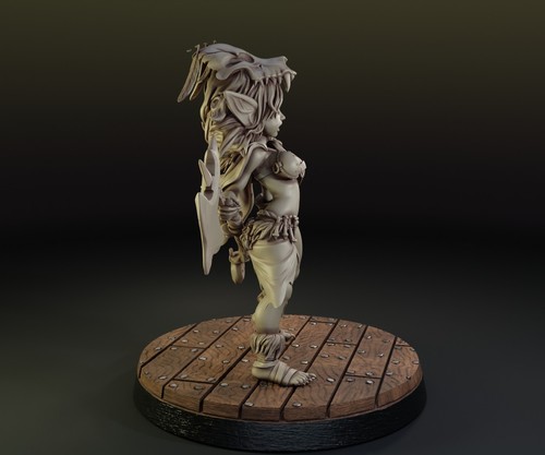 Dungeons & Dragons Playable Character - Female Goblin - Barbarian, Fighter - Picture 7 of 15