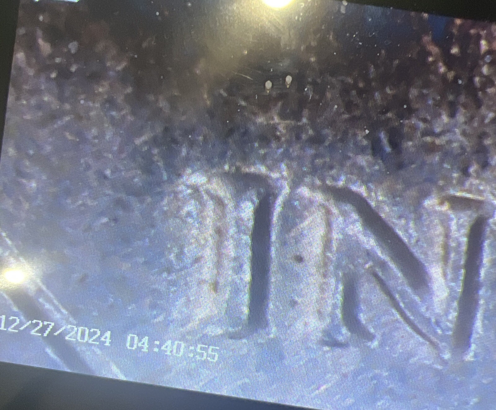 Picture 10 of 13
