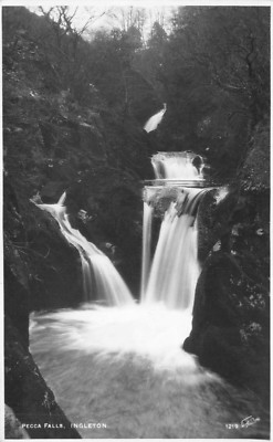 POSTKARTE - PECCA FALLS - RIVER TWISS - SWILLA GLEN - INGLETON - YORKSHIRE