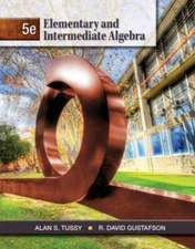 Elementary and Intermediate Algebra - Hardcover By Tussy, Alan S. - VERY GOOD