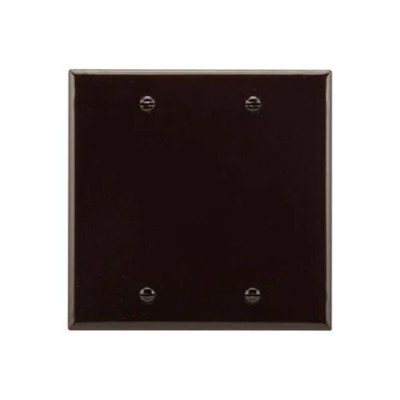 Eaton Wiring Devices 2137B-BOX - Wallplate 2G Blank Thrmst Box Mt Std BR - 1EA