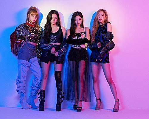 【新品未開封】BLACKPINK IN YOUR AREA DVD 初回限定盤 BLACKPINK IN YOUR AREA First Press Limited Edition CD + DVD