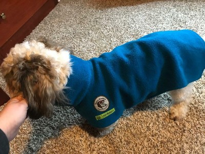 dog coat medium size