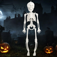 Halloween Skelett, Halloween Skelette GanzköRper Skelette 28CM, HäNgende Skelett