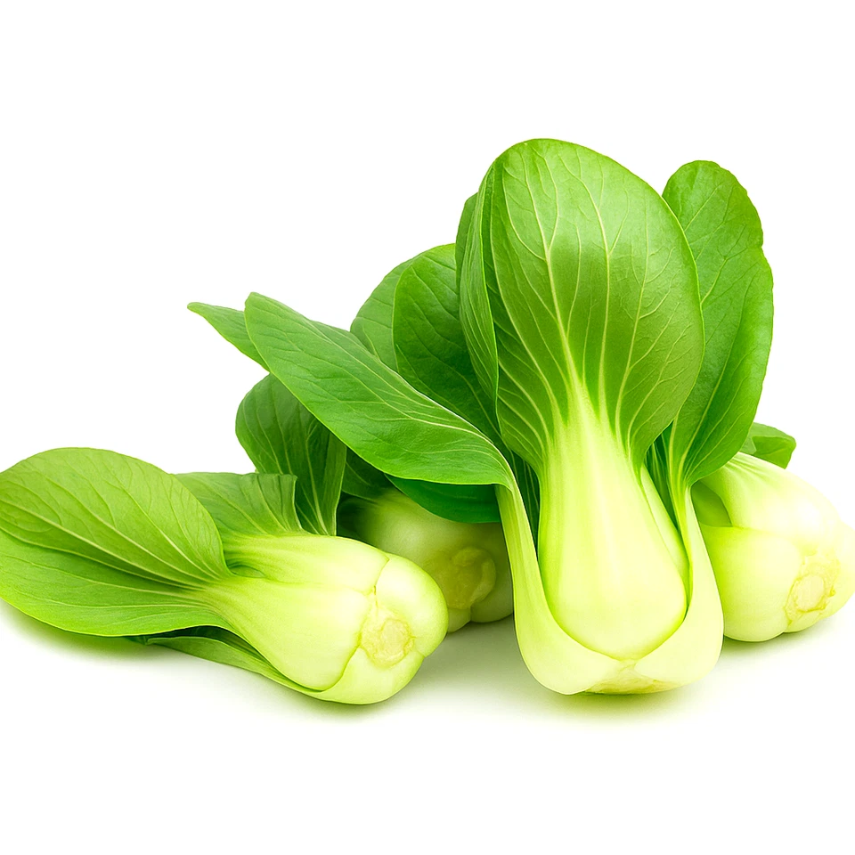 1200+ PAK CHOI BOK CHOY SEEDS 🥬 HEIRLOOM | NON-GMO | FAST BABY LEAF | FREE SHIP - Image 2 of 4