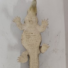 Safari Ltd Carnegie Deinosuchus Prehistoric Figure 1988 Miami FL Made in China