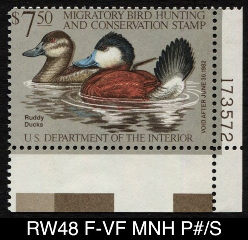 RW48 F/VF MNH Plate# Single 1981 Ruddy Ducks US Federal Duck Stamp Waterfowl