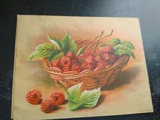 Colvin Drugs and Medicines Antique Ephemera Victorian Ad Trade Card