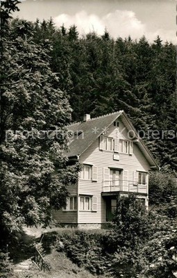 Sohlberg House Mountain Peace