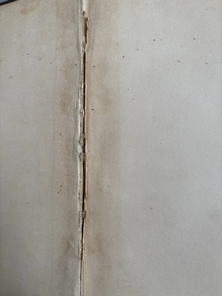 1884 Grammar and Analysis Made Easy and Attractive by Diagrams~F V Irish, AM - Image 3 of 4