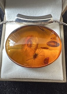 Schöner hochwertiger gepunzter 925 Sterling Silber ovaler Bernstein Anhänger & Kette 21 7 g