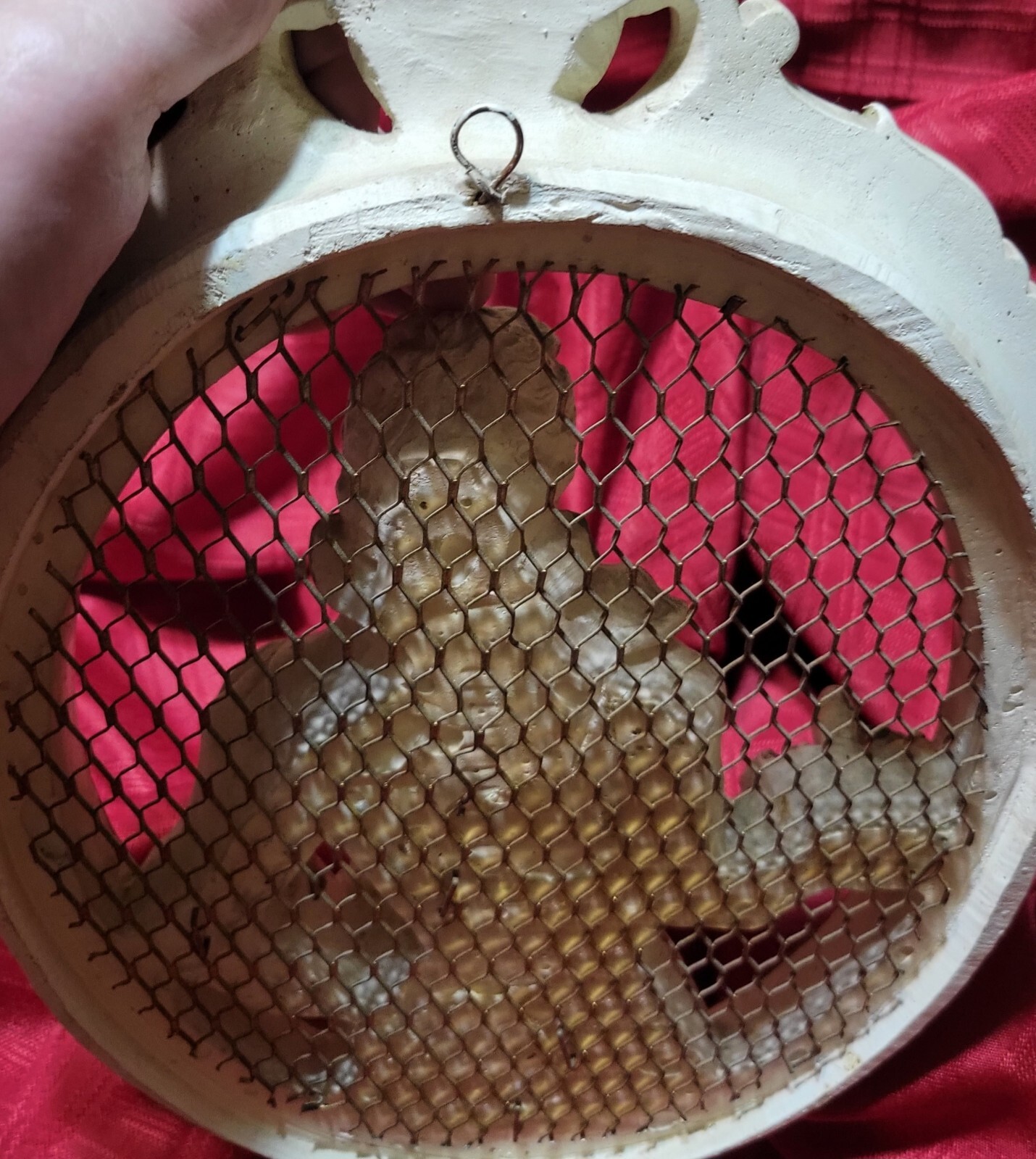 Picture 5 of 5