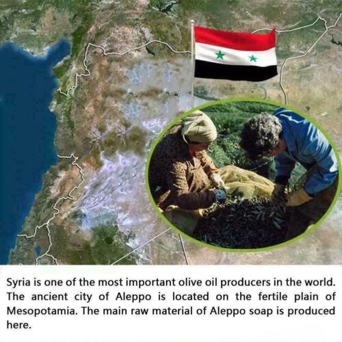For Hassan Kada Olive Oil Handmade Ancient Soap Three Lot Y4 - Picture 3 of 10